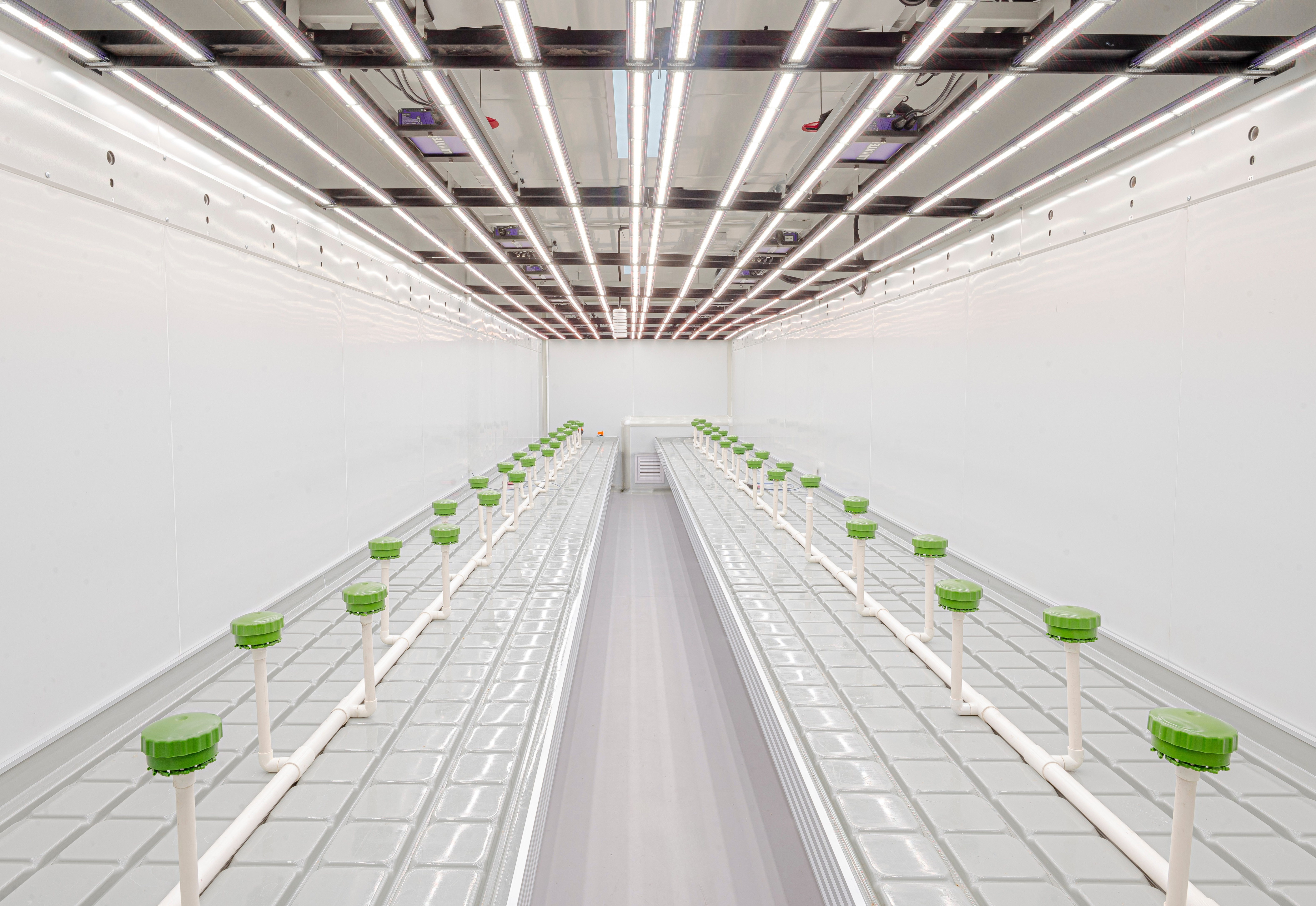 View inside the Grow Room